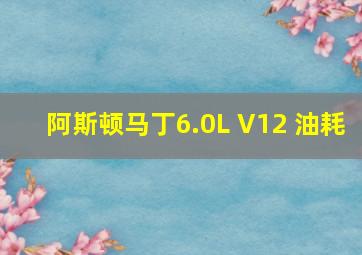 阿斯顿马丁6.0L V12 油耗